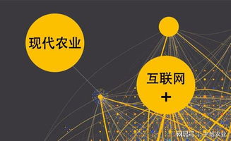 豐信農業 互聯網時代下，信息服務如何重塑新農業版圖